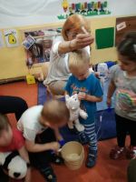 IMG-cf34b8904a077ec6f1ecce77f4ac4aea-V