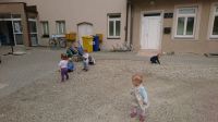 IMG-7b266874f966e80165dfc8f8cbc47920-V